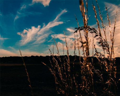 网站防ddos攻击